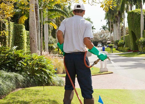 About Fox Lake IL Pest Control